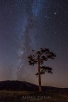 Milky Way Milky Way