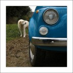 GiornataGrigia GiornataGrigia