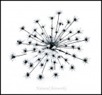 Natural fireworks Natural fireworks