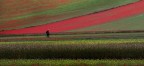 Il fotografo