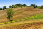 durante un'uscita con il circolo fotografico