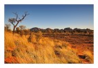 Kata Tjuta Aussie Outback