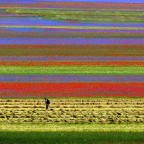 Umbria 2013 - 4 Umbria 2013 - 4