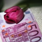 macrocosmi macrocosmi