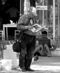 Il piccione, il giornale ed il PC Il piccione, il giornale ed il PC
