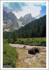 Rinfrescante Trentino - Val Venegia - Parco Naturale Paneveggio - Pale di San Martino