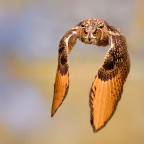 esperimenti esperimenti