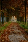 autunno autunno