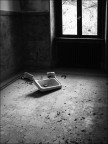 CRW_8265