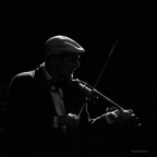 Violinist Violinist