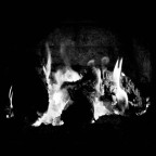 Gli spiriti del fuoco in una conversazione Gli spiriti del fuoco in una conversazione