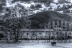 Cascine