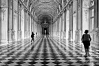 Torino - La venaria reale Torino - La venaria reale