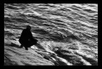 Meditare e Pescare Meditare e Pescare