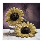 I miei girasoli II I miei girasoli II