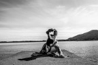 Salve, questi sono alcuni scatti ormai un p datati realizzati con una D60 Nikon,  pensati e scattati per la realizzazione di un Bianco e nero...    vorrei utilizzarli per un piccolo contest che si terr nella mia zona,  sarei felice al di l di commenti tecnici sulla realizzazione che ovviamente  migliorabile,   conoscere invece Quale delle DUE foto ritenete la migliore.
Foto Athena1 ; Athena2