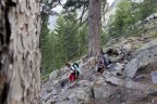 tra gli alberi del GR20 tra gli alberi del GR20