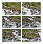 Il guado... Il guado...