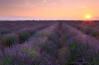 Una bellissima alba nei pressi di Valensole.
Alcune info qui:
http://www.fabionodariphoto.com/ita/articoli/provenza.html