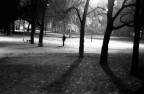 il parco... il parco...
