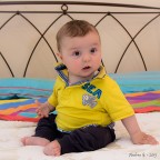 stupor mundi! stupor mundi!