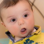 stupor mundi! #2 stupor mundi! #2