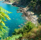 caletta r.(test compressione) caletta r.(test compressione)