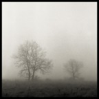 nebbia#3 nebbia#3