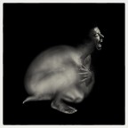 MetaMorfosi MetaMorfosi