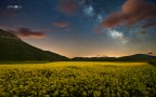 Tra fiori e stelle Tra fiori e stelle
