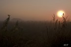 Alba settembrina Alba settembrina