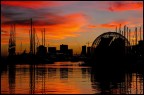 Bio_Sunset
