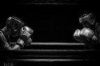 Fighters Fighters