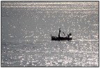riflessi riflessi
