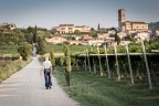 Tra le vigne della Valpolicella.
Commenti e critiche sempre graditi.

Giacomo