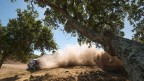 Rally Sardegna 2013