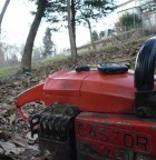 il colpevole il colpevole