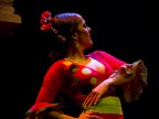 Flamenco Flamenco