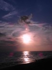 VELVET SUNSET