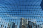 Riflessi condizionati Riflessi condizionati