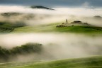 Green fields under the morning fog