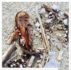 No name... No name...