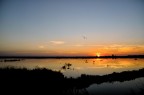 Saline di Comacchio