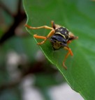 Vediamo un po sotto. Vediamo un po sotto.