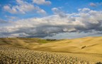 Paesaggio toscano