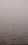 Lago di Como immerso nella foschia autunnale
T 1/250 F 8 iso 400 focale 55mm