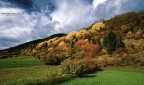 AUTUNNO