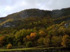 Tavolozza autunnale