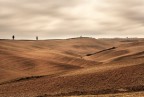 &quot;Terre&quot; Toscane2