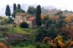 Colline intorno a Lucca Colline intorno a Lucca